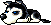 Husky, animation 14