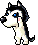 Husky, animation 11