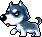 Husky, animation 17