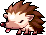 Porcupine, animation 16
