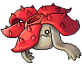 Rafflesia, animation 2