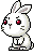 White Bunny, animation 18