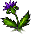 witch's herb animation