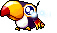Toucan, animation 17
