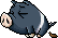 Black Pig, animation 12