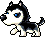 Husky, animation 17