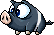 Black Pig animation