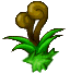 ellinia flower, animation 6