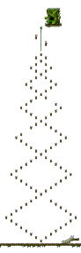 Minimap of The Forest of Patience <Step 1>