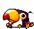 Toucan, animation 11