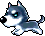 Husky, animation 4