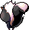 Skunk, animation 11