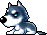 Husky, animation 12