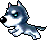 Husky, animation 2