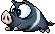 Black Pig, animation 3