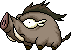 Wild Boar, animation 4