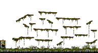 Minimap of The Swamp of Despair I