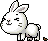White Bunny, animation 13