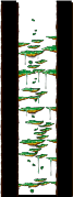Minimap of Tree Dungeon, Monkey Forest II