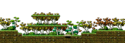 Minimap of The Blue Mushroom Forest