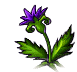 witch's herb, animation 5