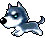 Husky, animation 3